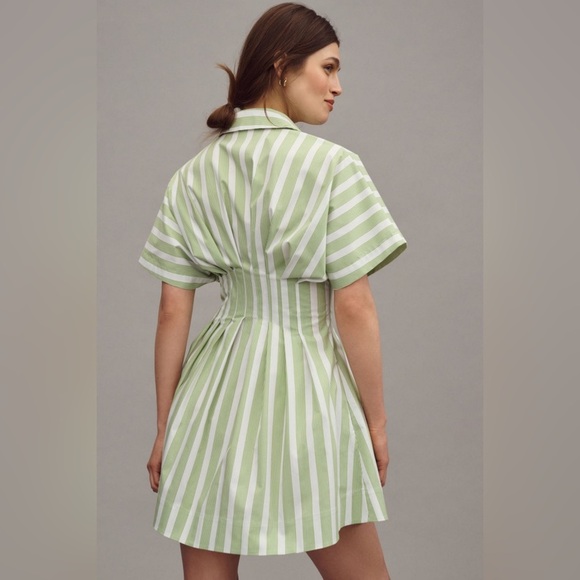 The Tobie Button-Front Pleated Mini Shirtdress - Picture 2 of 9